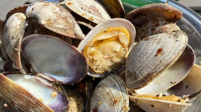 Butter clams in a steel bowl