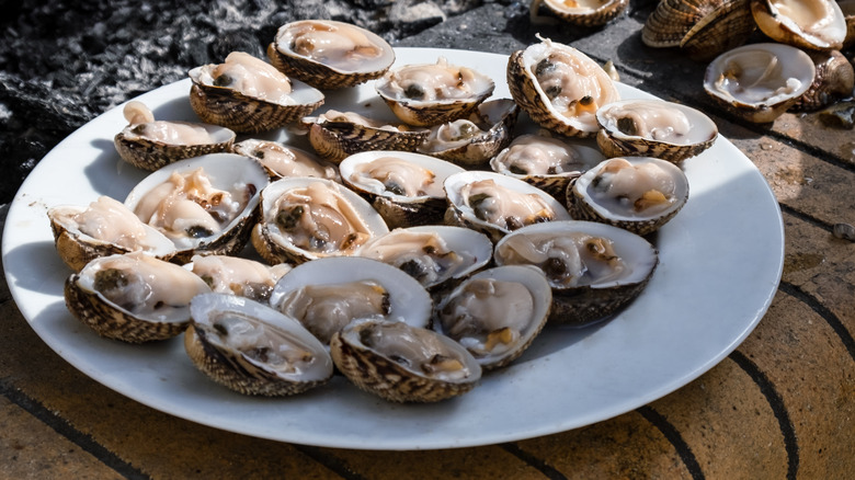 Opened raw cockles on white plate