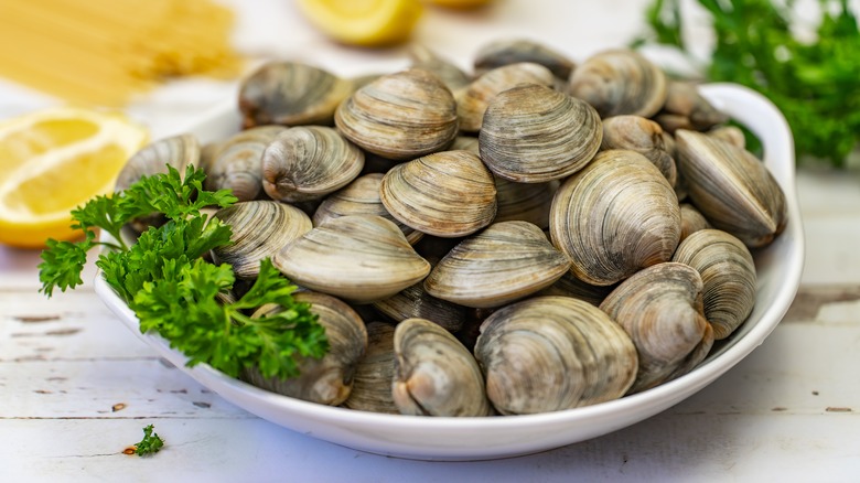 Littleneck Clams on a white plate with parsley