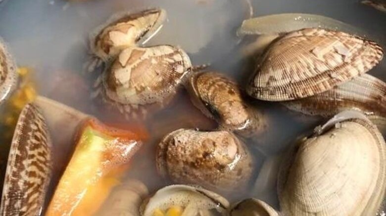 Steamed Manila clam soup