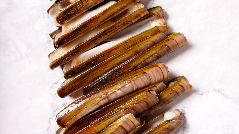 Fresh Razor Clams on a marble background