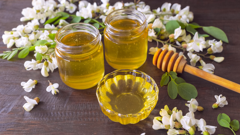 acacia honey surrounded by white acacia flowers