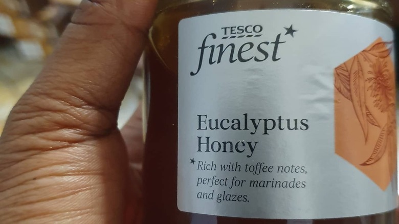 jar of eucalyptus honey in hand