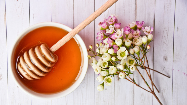 manuka honey with dipper and manuka flowers