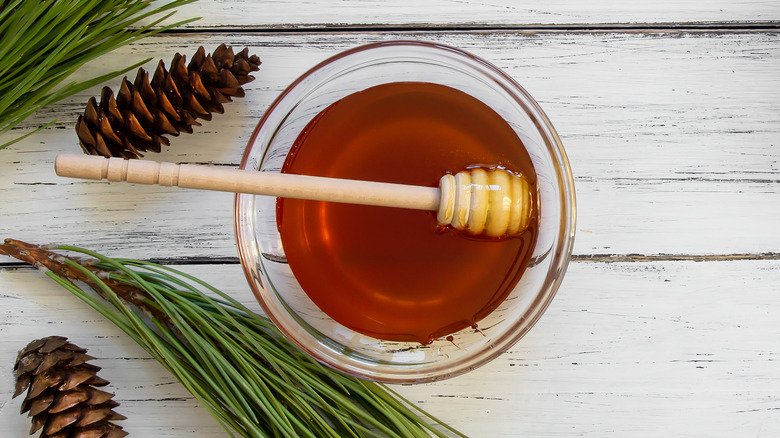 pine honey with pine cones and branches