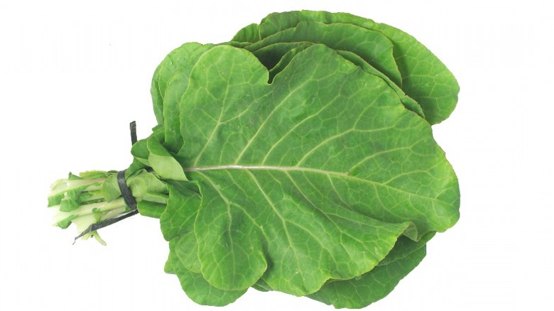 kale leaves on white background