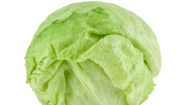 iceberg lettuce