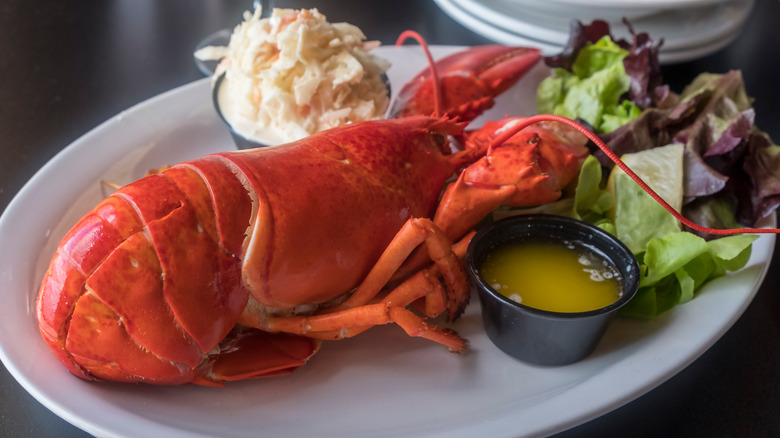 Nova Scotia lobster with sides