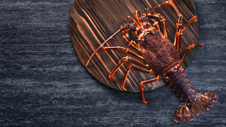 West coast rock lobster on wooden board