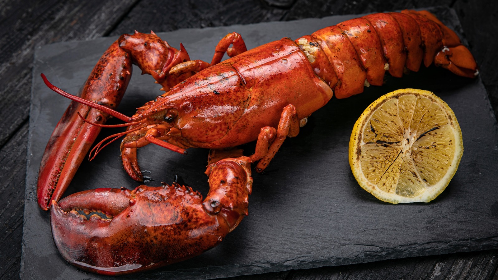 16 Types of Lobster and How to Cook Them Maine News