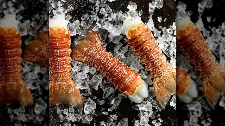 three South Coast lobster tails on ice