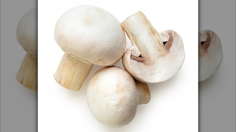 White button mushrooms