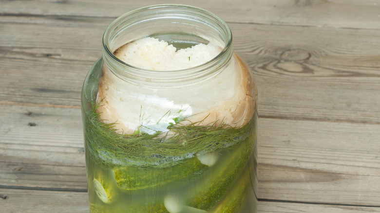 Hungarian pickles in jar