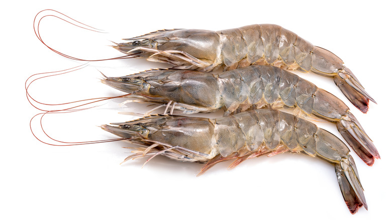 Banana prawns on white background