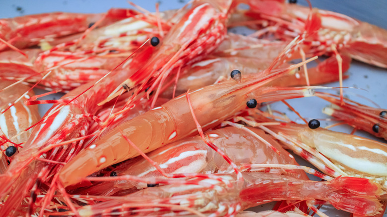 Fresh raw spot prawns