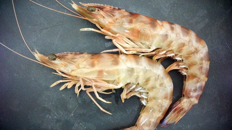 Caramote prawns 