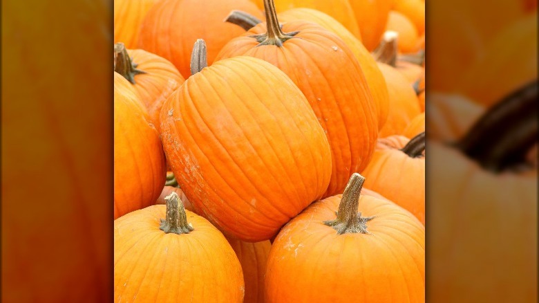 Autumn Gold pumpkins