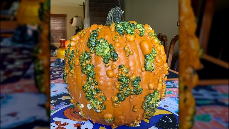 Warty Goblin pumpkin