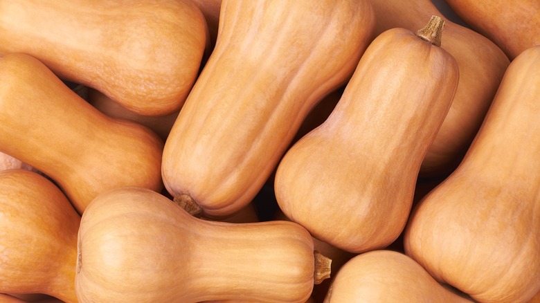 butternut squash