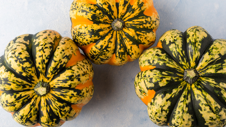 carnival squash