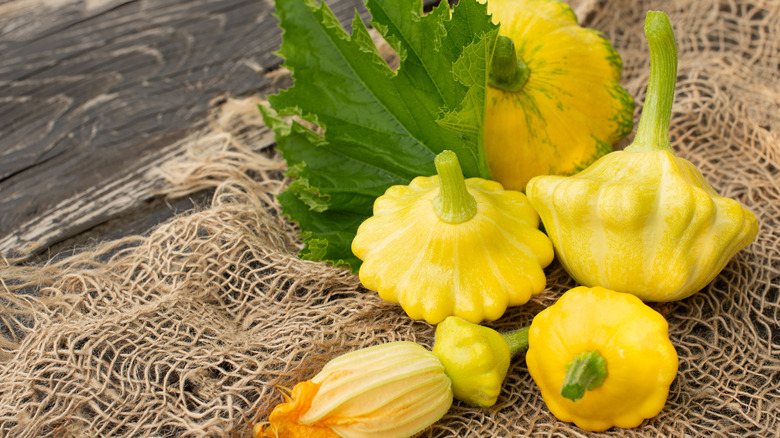 pattypan squash