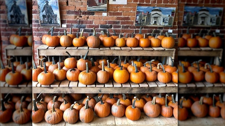 sugar pumpkins