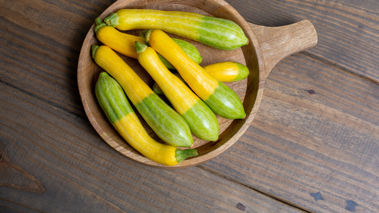 zephyr squash