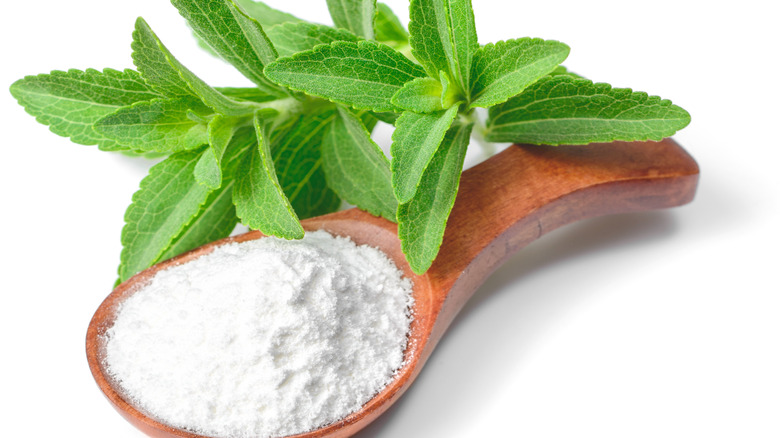 Stevia plant and derived sugar