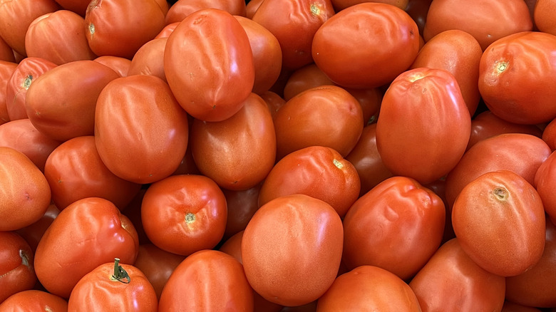 pile of fresh roma tomatoes