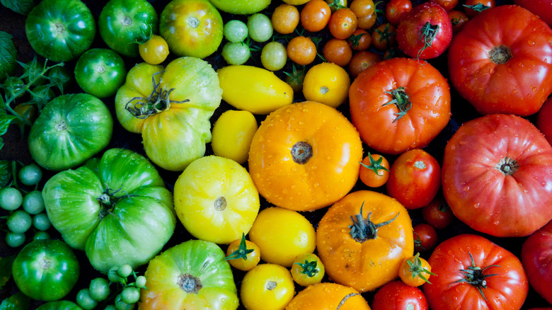 mixed tomato varieties