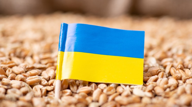 Ukrainian flag with grain