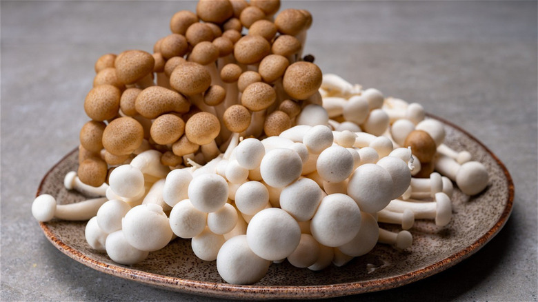 brown and white mushrooms on plate