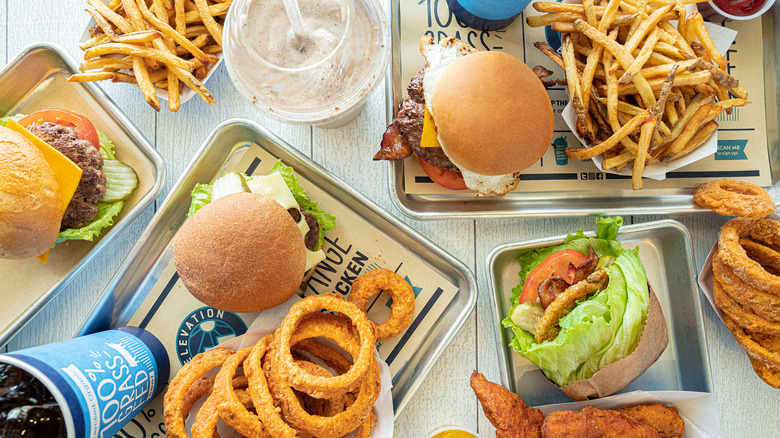 Elevation Burger and Fries