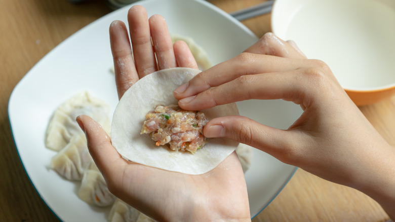 Handmade gyoza