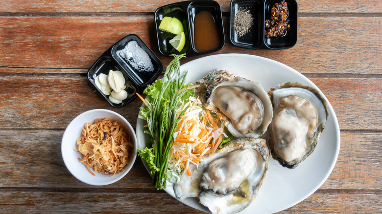 oysters on a plate