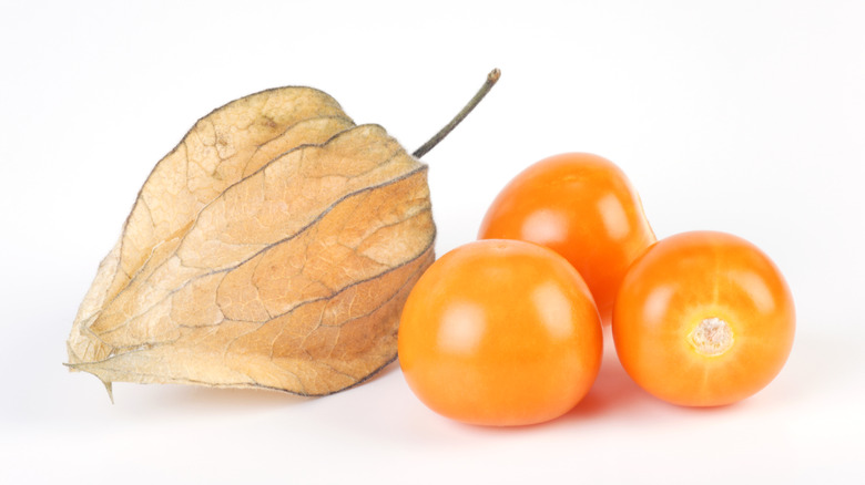 four ground cherries, one in husk