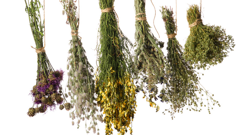 Air-drying herb bundles