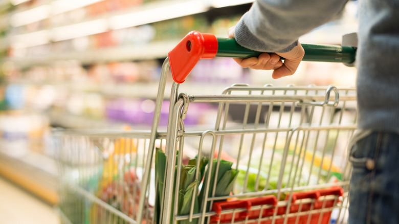 person pushing a shopping cart in a grocery store