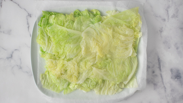 boiled cabbage leaves on plate