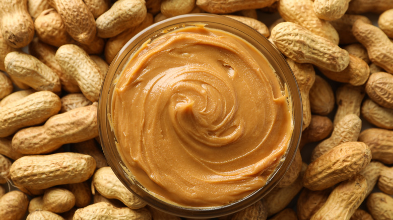 Bowl of peanut butter surrounded by whole peanuts