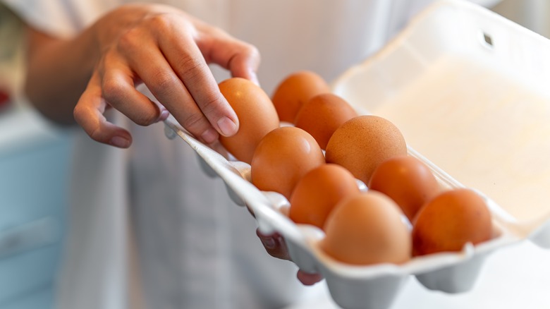 eggs in a carton