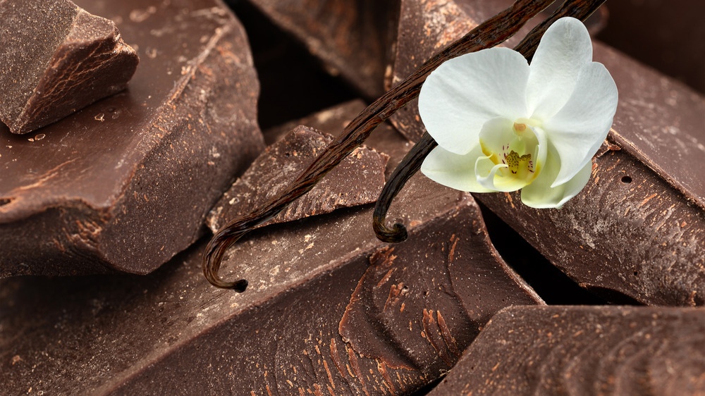 Blocks of chocolate with vanilla beans