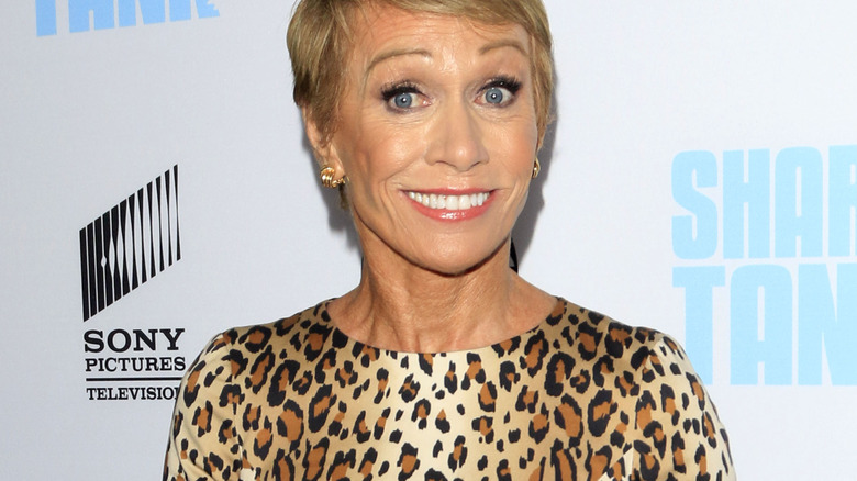 Shark Barbara Corcoran made an offer