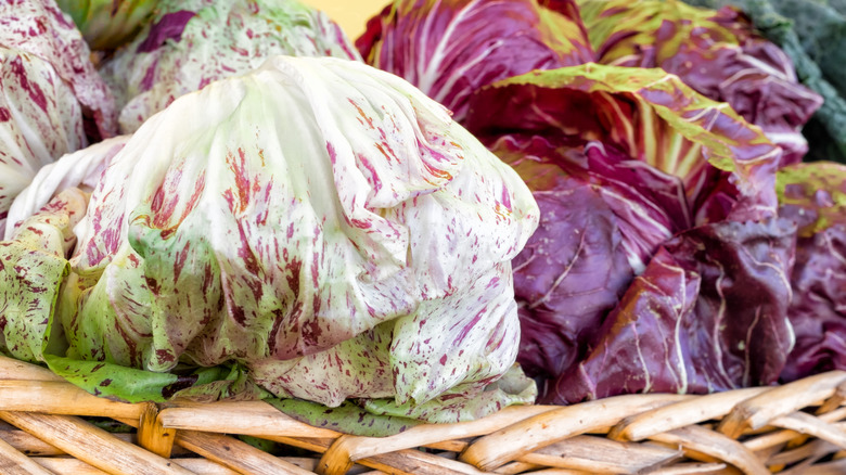 chicory varieties in a basket 