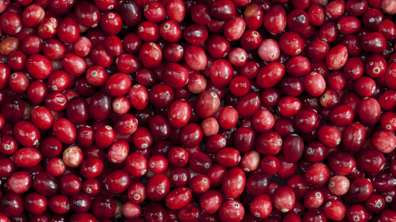 fresh cranberries