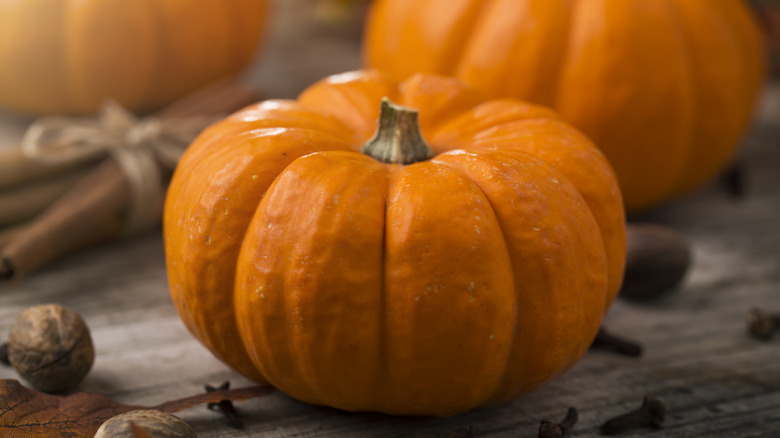 small pumpkin closeup