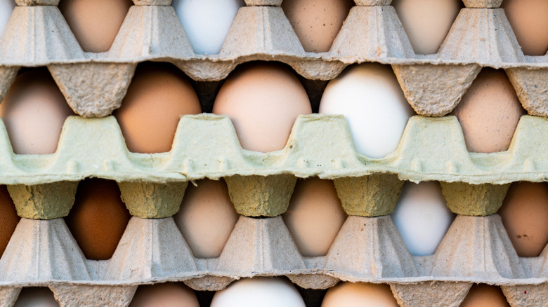 Multiple cartons of eggs stacked on top of one another