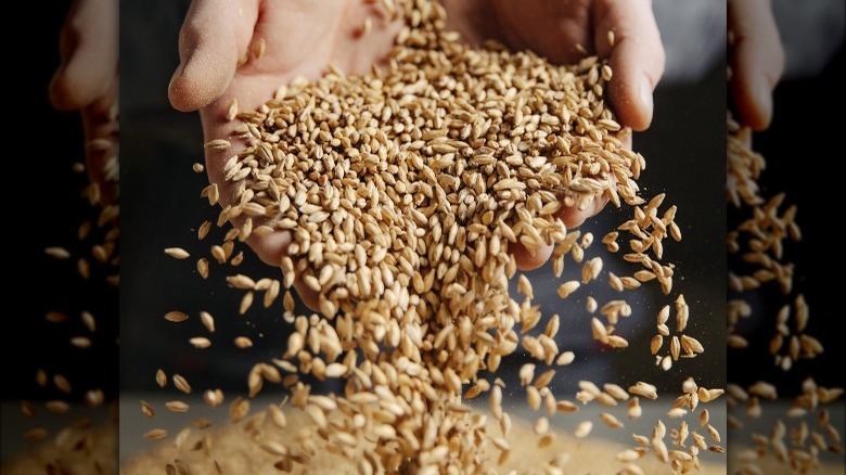 Grains spilling out of two hands