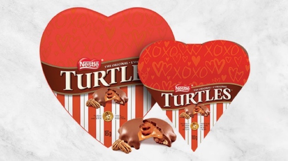 Valentine Turtles in a heart-shaped box