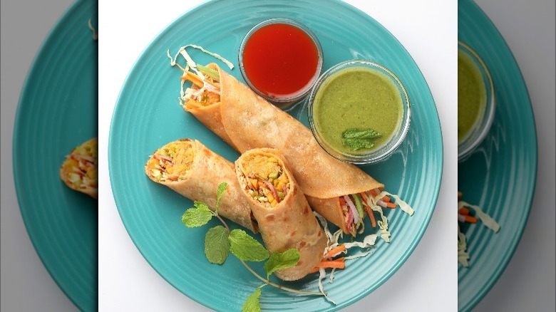 Vegetable rolls with ketchup and chutney